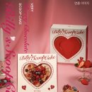 베리베리 | 연말 케이크 추천! 빌리엔젤 신상 떠먹는 베리베리 요거트 초코 케이크 후기