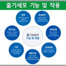 오늘은안아픈의원 이미지