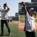 소울 다이브 카카오 검색결과