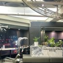 시네마헤어샵 | 천안 신불당동 미용실 찰스리 모발 클리닉 후기 ㅣ 손상된 머릿결 관리 추천