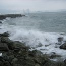 민속보쌈쑥밀면전문점 | 이기대도시자연공원