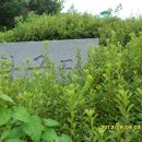 덕진-128 이미지