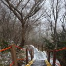 한라산 선작지왓 | 한라산 윗세오름 겨울 곰탕산행 후기 (어리목->영실코스)