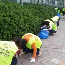 수원시 영통구 태장초교 (주)경기 타임스