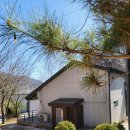 홍천 페리엔1 이미지