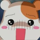 양천헬스 이미지