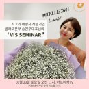 인셀덤발라또그룹
