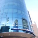 이리온 동물병원 | 청담 이리온동물병원 고양이 건강검진 신장검진(방광염) 후기