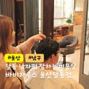 바비헤어샵 | 울산 달동 미용실 남자펌 잘하는 바비하우스헤어울산달동점