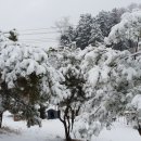 금옥농장 이미지