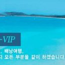 ㈜VIP 여행사 - 2008년 상반기 신입/경력사원 모집 이미지