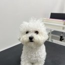 찰스앤에디 이미지