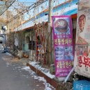 교동청춘부라보
