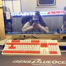 분더펫 | 2월 일상 모아적기