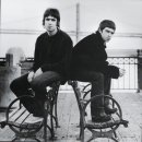 오아시스 이미지