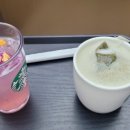피치핑크 | 스타벅스 핑크 피치 리프레셔 후기