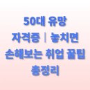 [국비] 정리수납전문가 2급 자격증 취득 과정 / 오전 / 24.06.12 | 50대 유망 자격증｜놓치면 손해보는 취업 꿀팁 총정리