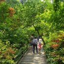 장흥수목원펜션 이미지