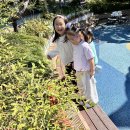 [바깥놀이]「🌿 오늘도 신나는 바깥놀이터🍂 이미지