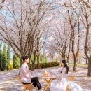 투민힐스빌 | 마이피스냅 작가님과 생애 첫 인천 커플스냅 촬영 솔직 후기♥️