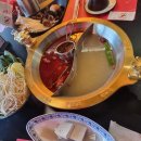 남서울펫호텔 이미지