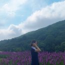 장안로1길 이미지