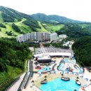 신안종합리조트(주)