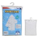 모닝글로리 이미지