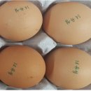 진일농장 이미지