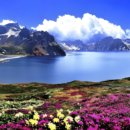 백두국제여행사 이미지