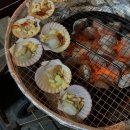 자바카라반 | 가을 꽉 잡아 !! (인천 선재도 자바 카라반 후기)