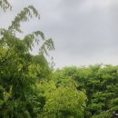 행복마을 로또복권 이미지