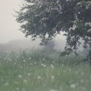 생활영어회화 이미지