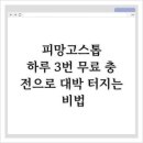 타짜PC | 피망고스톱, 하루 3번 무료 충전으로 대박 터지는 비법