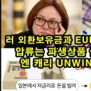 러 외환보유금과 Euroclear/ 압류는 파생상품 금융위기/ 엔 캐리 Unwind 대비 이미지