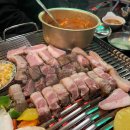 강남역 신논현역 삼겹살 고기 맛집 난장캠프 도심속 캠핑 분위기 내돈내산