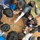 월평초등학교병설유치원 이미지