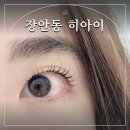 히아이 네이버블로그