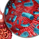 서원재로 이미지