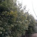 다원농장 이미지