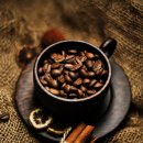 커피나무 꽃향기 이미지