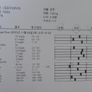 스누피동물병원 티스토리