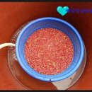 백산농장 이미지