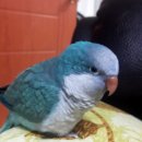 천호중학교 이미지