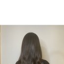 살롱드포레 - 용인시 수지구 | 살롱드포레
