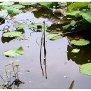 도새울마을 이미지