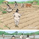 김남식 | [24절기 시] [소만(小滿) 시] 소만(小滿)에 관한 시모음 50편