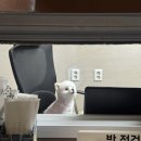 은하수7080라이브