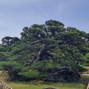 유신공원 이미지