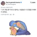 개일 Daum카페